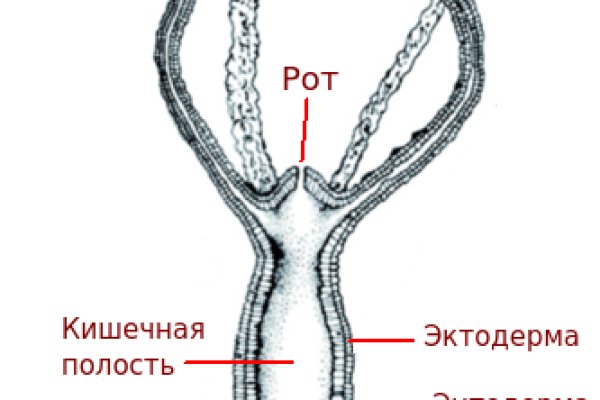 Кракен онион ссылка на тор