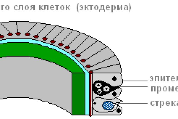 Кракен сайт официальный